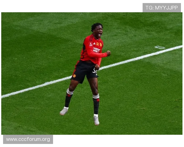 内维尔批阿莫林弃用梅努最失策